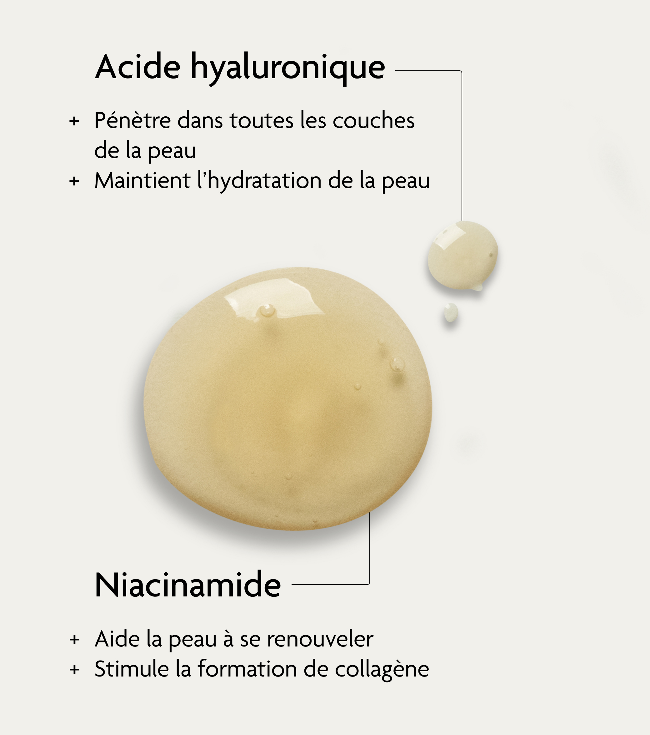 SKINTIST ANTI-AGING sérum à l'acide hyaluronique - Principes actifs